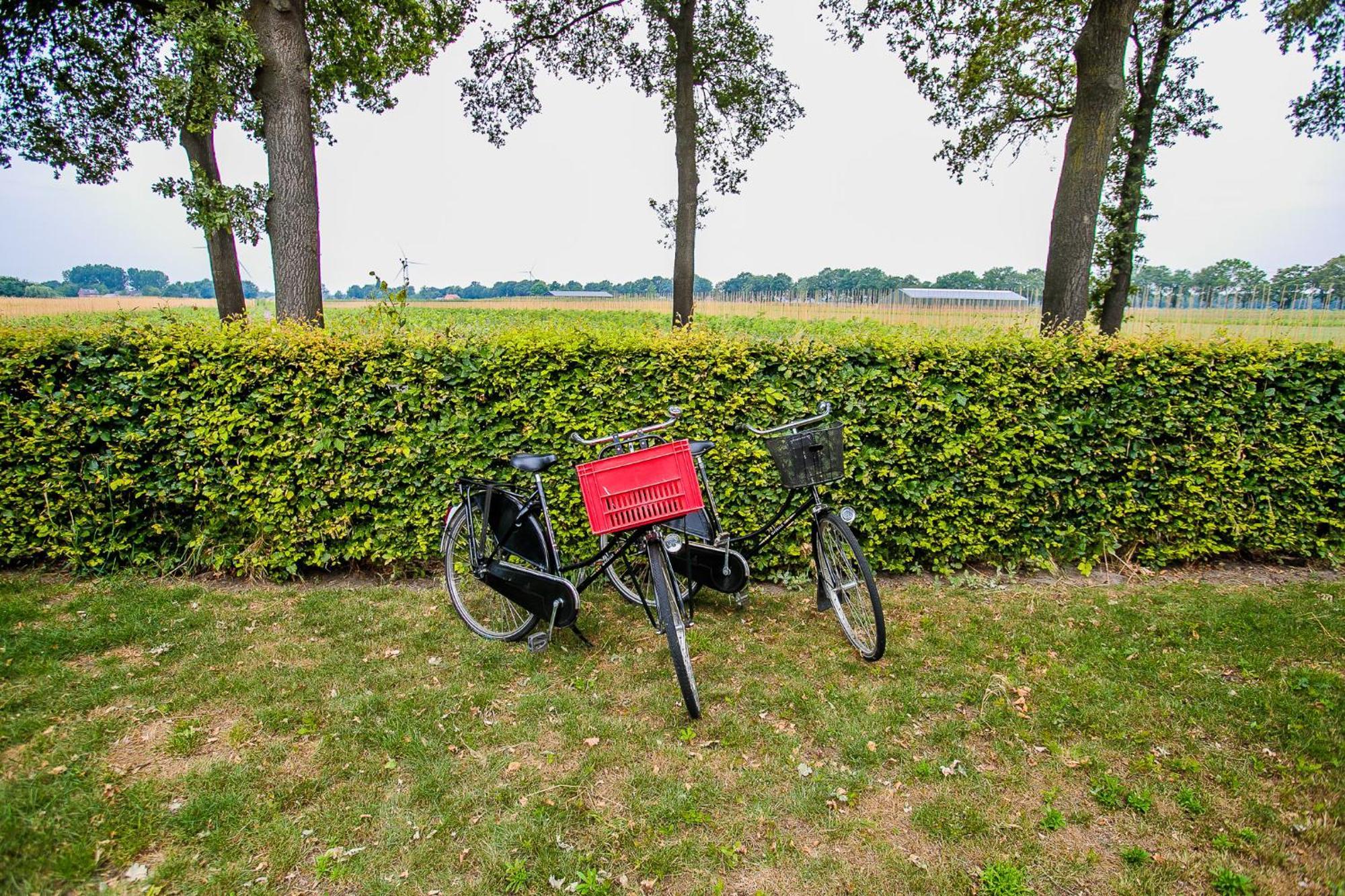B&B/Boertel De Meander Oirschot Exterior foto